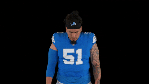Michigan Arizona GIF by Detroit Lions
