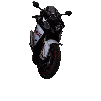 Dutch Ride Out Sticker by DutchShotz