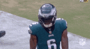 Philadelphia Eagles Football GIF by NFL