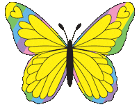 rainbow butterfly Sticker