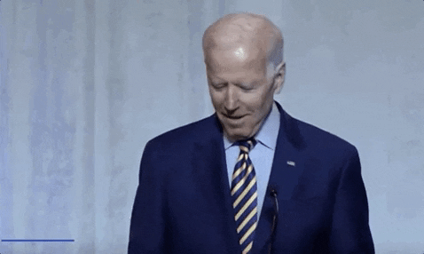 Joe Biden Bonk GIF by Election 2020