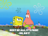 season 8 spongebob's runaway roadtrip: patrick's staycation GIF by SpongeBob SquarePants