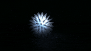 studio-vpr whale device critter the loop GIF