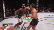 ufc 225 GIF by UFC