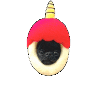 Chihuahua Bm Sticker