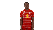 Red Bull Celebration Sticker by FC Red Bull Salzburg