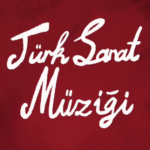 Turkish Turk GIF