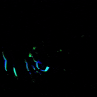 Loop Glitch GIF by TyloBrembele