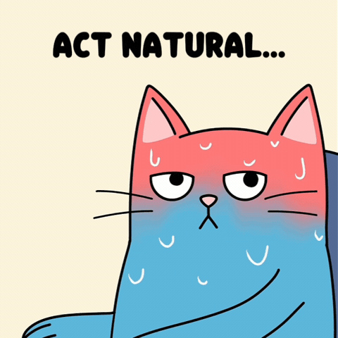 Stay Calm Blue Cat GIF