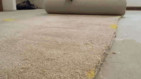 asmresseio giphyupload GIF