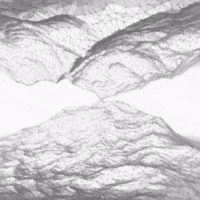 GIF by Shurly