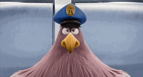stare eagle GIF by Angry Birds Movie