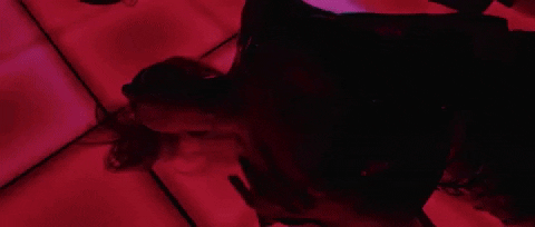 diplo GIF by Poppy