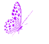 Butterfly Sticker