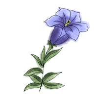 Flower Sticker by Increase Creativity