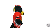 Watching You Chicago Blackhawks GIF by NHL