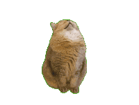 Sticker ねこ Sticker by Japan