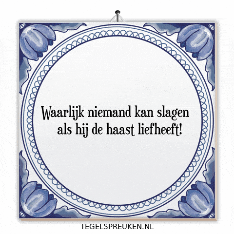 Focus Nl GIF by Tegelspreuken.nl