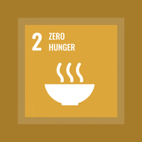 Act4Sdgs GIF by MY World Mexico