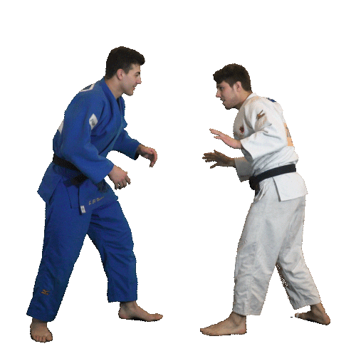 Sticker by Judo Canada