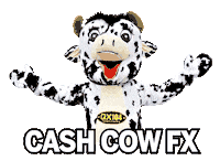 Cash Cow Sticker by Jim Pattison Broadcast Group