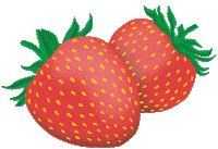 Sun California Sticker by Free & Easy