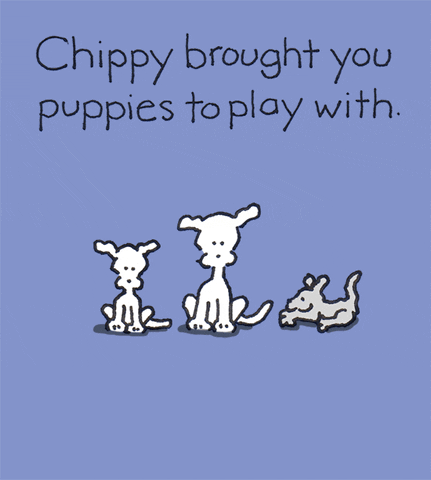 chippythedog giphyupload love dog puppy GIF