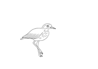 Run Running Sticker by A-ROSA Kreuzfahrten
