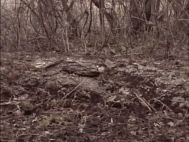 nickrewind nicksplat are you afraid of the dark the tale of the frozen ghost GIF