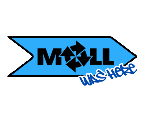 gestuurdboren giphyupload hdd moll mollgestuurdboren Sticker