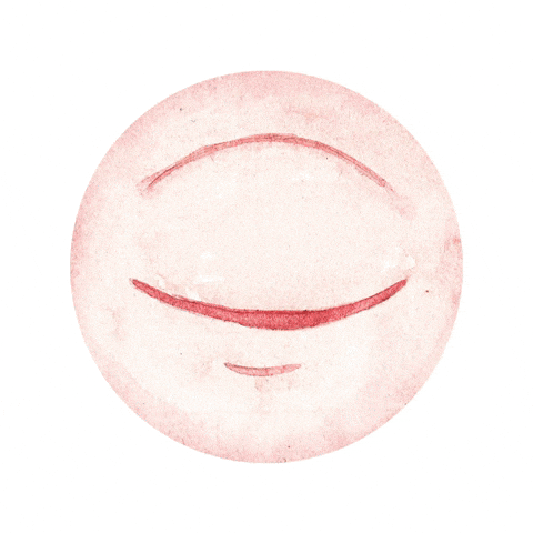 Heart Love GIF