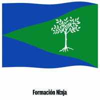 Bandera GIF by Formación Ninja
