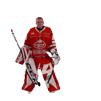 U18 Sticker by StjernenHockey