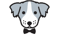 pawties happy fun dog bow Sticker