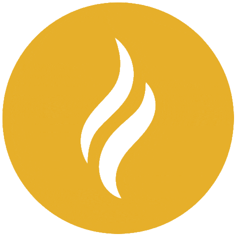 studio webdesign Sticker by Qappuccino