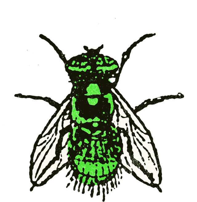 Bbc Fly Sticker by Greenway Records