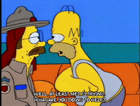 homer simpson GIF