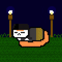 eynmaginaire cat ginger ollie ollie the cat GIF