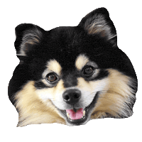 Theo Sticker by Thess Fischer