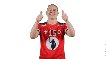 Handball Euro Sticker by EHF