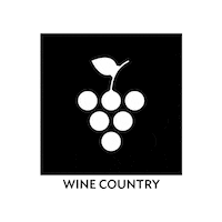 Traveling Mexico City Sticker by Morenita Experience