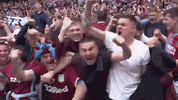 AstonVillaFC happy sports football sport GIF