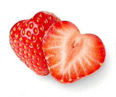castrawberries castrawberries GIF