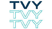 Tvy The Vine Sticker by The Vine Church