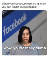 ComedianHollyLogan wow social media politics facebook GIF