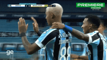 Serie A Serieb GIF by Canal Premiere