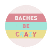 Bridesmaids Bachelorette Party Sticker by shopstagandhen