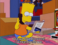 bart simpson episode 20 GIF