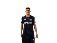 Bayer 04 Wtf GIF by Bayer 04 Leverkusen