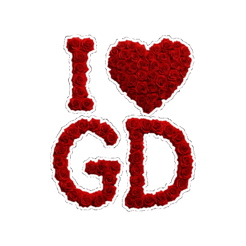 G-Dragon Gd Sticker